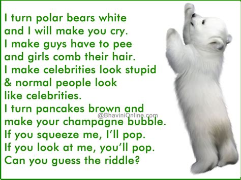 Solving The I Make Polar Bears White Riddle Reciepan