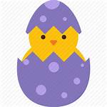 Easter Egg Cracked Icon Chick Clipart Eggshell
