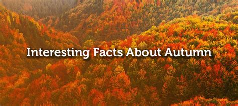 interesting facts about autumn 5miles blog