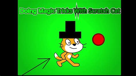 Doing Magic Tricks With Scratch Cat Youtube