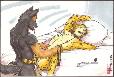 Rule 34 Anal Anal Sex Anthro Barbs Bed Canine Canine