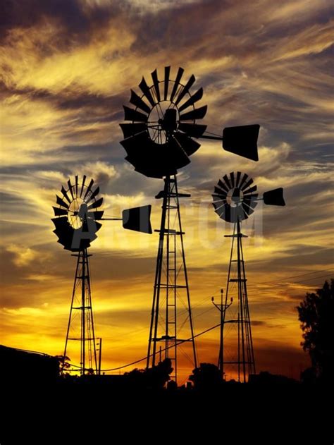 Windmills At Sunset In Penong Australia Photographic Print Richard