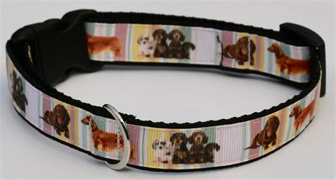 Dachshund Dog Collar Dachshund Collar Dog Collar Pet Etsy