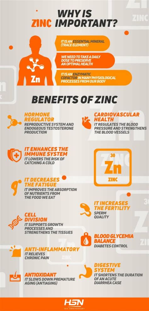 Zinc Discover The Benefits For Your Body 2023