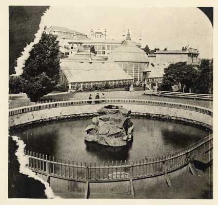 Photos, address, and phone number, opening hours, photos, and user reviews on yandex.maps. The Seal Pond at Woodward's Gardens. ca 1870 | Places in ...
