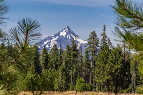 Mt Jefferson Jefferson Mount Rainier Oregon Mountains Discover