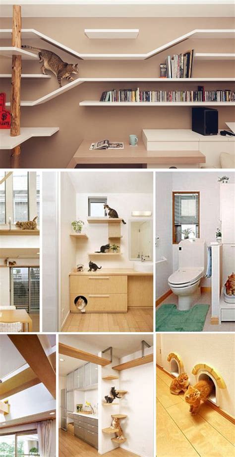 20 Creative Indoor Cat Playground Ideas Cat Playground Cat Furniture