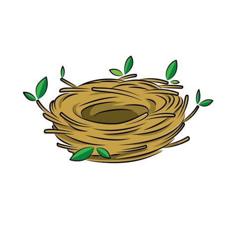 12800 Bird Nest Illustrations Royalty Free Vector Graphics And Clip