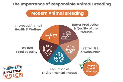 The Importance Of Responsible Animal Breeding European Livestock Voice