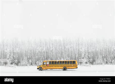 Yellow School Bus Parked In Front Of Snowy Forest In Winter In Canada