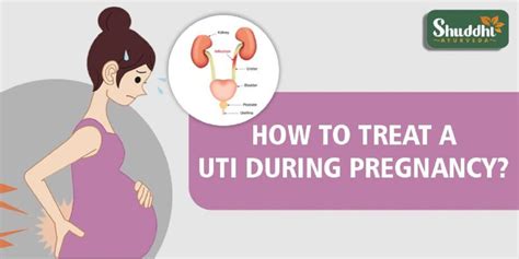 How To Treat A Uti During Pregnancy Just Finder