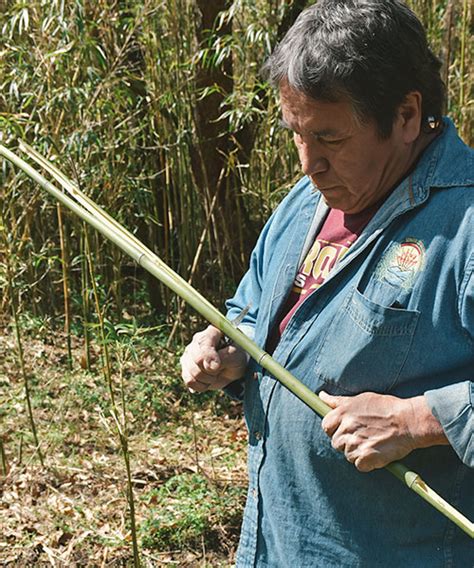 Maybe you would like to learn more about one of these? Native River Cane Restoration Project | Chattooga Conservancy