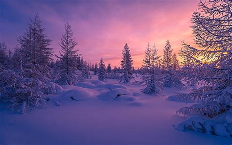 Winter Sunset Forest Snowdrifts Hd Wallpaper Peakpx