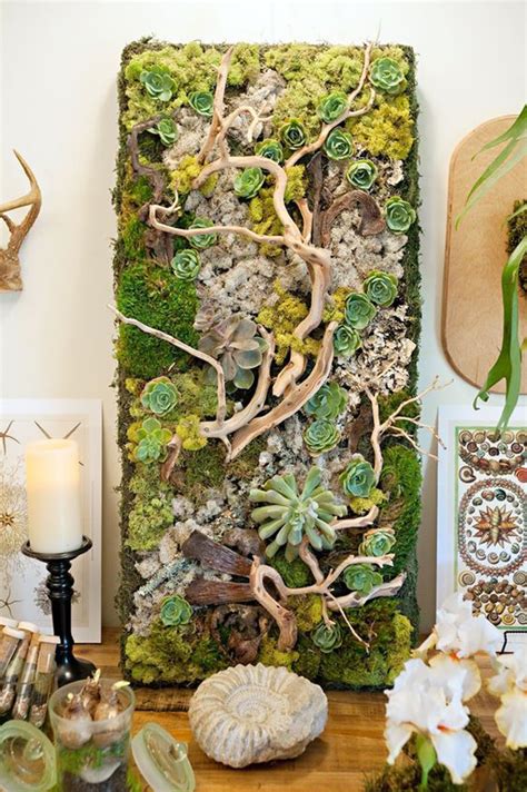 20 Gorgeous Succulent Wall Art To Display Houseplants Home Design And
