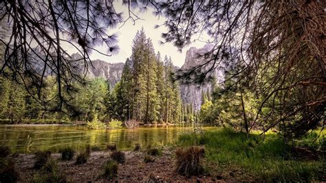 Landscape Of Yosemite National Park Wallpaper Backiee