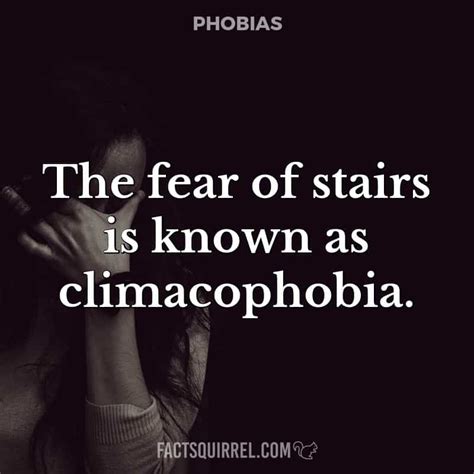 The Fear Of Stairs Is Known As Climacophobia Factsquirrel