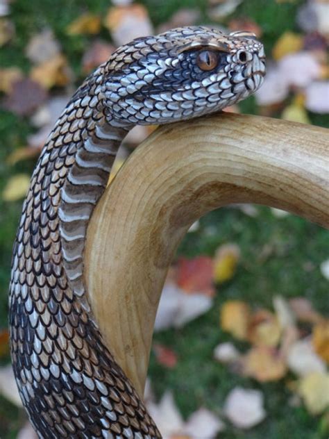 Hand Carved Rattlesnake Walking Cane By Mike Stinnett Hand Carved