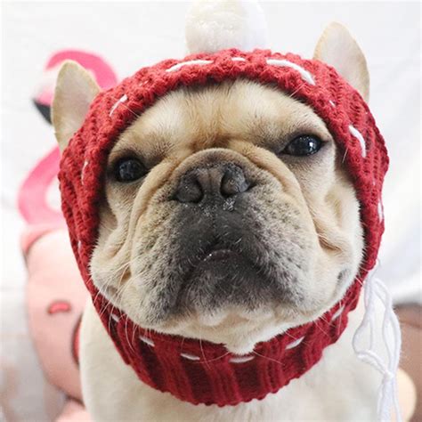 Knitted Snood Hat For French Bulldogs Pet Beanies Hat Dog Snood