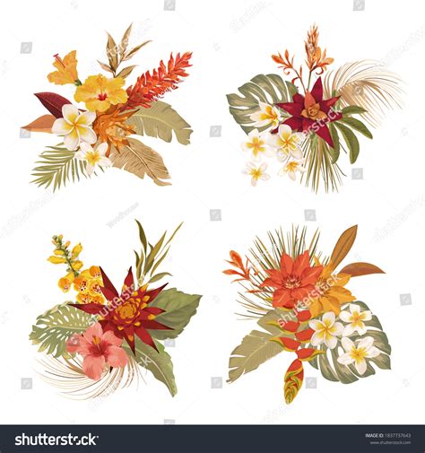 tropical floral boho bouquet collection watercolor stock vector royalty free 1837737643