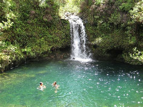 East Maui Sees Largest Stream Restoration In Hawaii History Hawaii