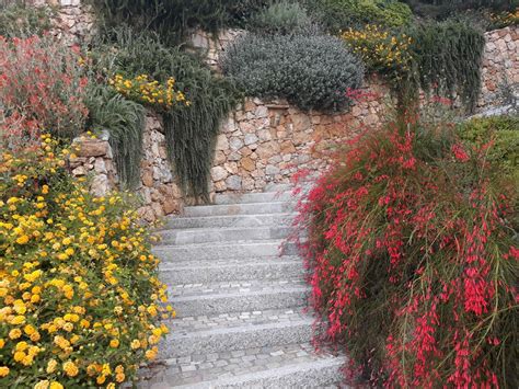 Giardino botanico con i fiori ed il mare immagine stock. Fiori Gialli Mediterranei - Giardino Mediterraneo Dieci ...