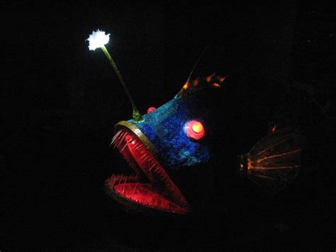 Angler Fish Mask Finished Helder Da Rocha Flickr
