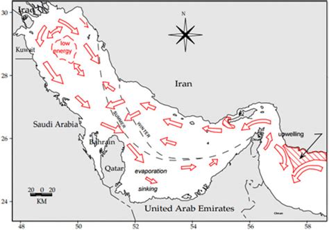 Surface Currents And Circulation Processes In The Persian Gulfsource