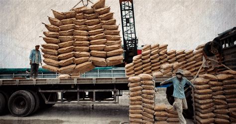 Crisis of Egypt’s Cement Sector - Egyptian Institute for Studies.