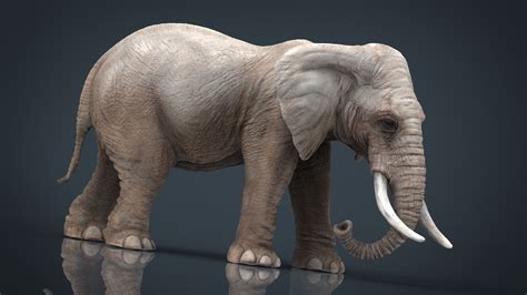 Vitra Elephant Stool 3D Model 15 3ds Fbx Max Obj Free3D