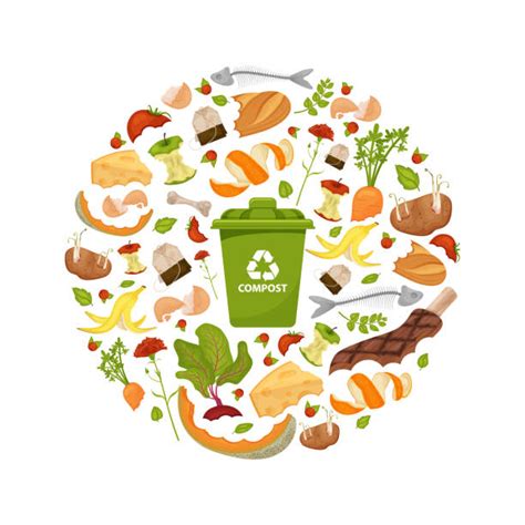 Food Scraps Illustrations Royalty Free Vector Graphics And Clip Art Istock