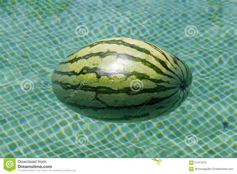 Close Up Of Watermelon Floating In A Swimming Pool Stock