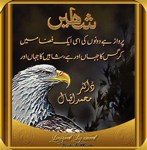 Pin by Bizarre Bah on The Great Iqbal | Sufi poetry, Best urdu poetry