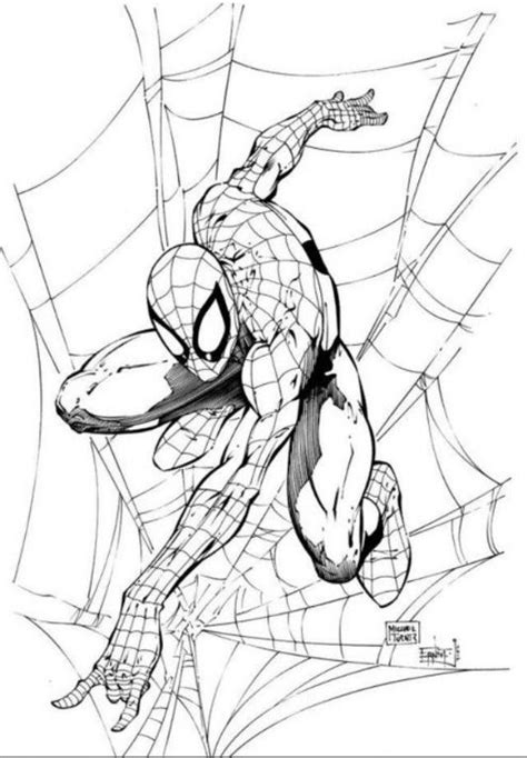 Spider Man Michael Turner Spiderman Art Spiderman Drawing
