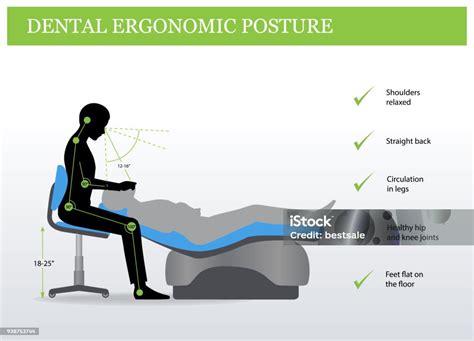 Ergonomics In Dentistry Correct Posture Stock Illustration Download