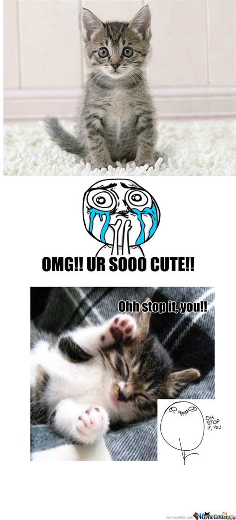 Cute Cats By Nyancatten Meme Center