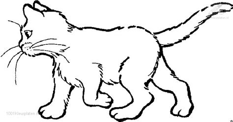 Studie toont aan dat katten 'beter' zijn dan honden nu. Kleurplaat Kat