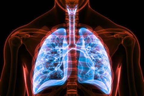 Copd Vs Emphysema Understanding The Difference Carda Health