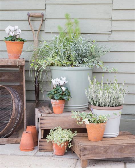 Beautiful Container Garden Ideas For Winter Thisoldhouse