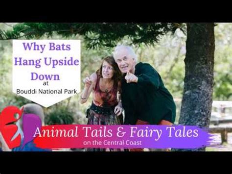 Why Bats Hang Upside Down YouTube