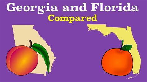 How Many Hours Is It From Georgia To Florida Update New Abettes