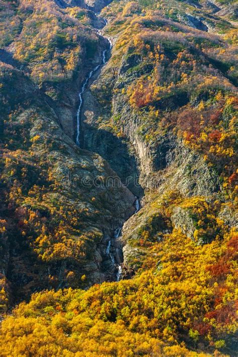 Orange Autumn Leaves On Trees In Forest And Mountain River Flows Stock