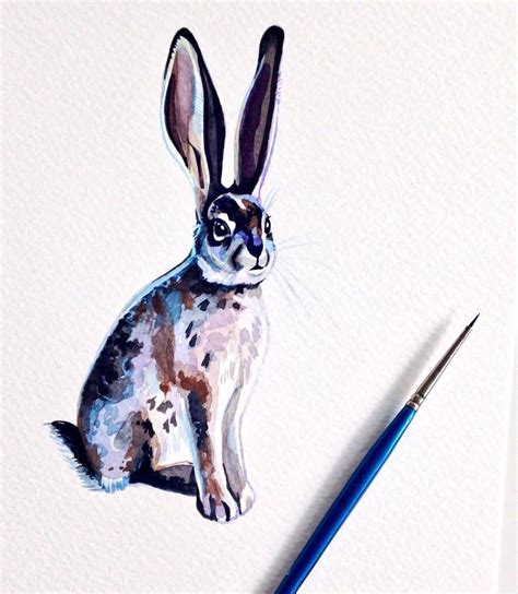 Holly Exley Watercolour Inspiration Animal Illustration Watercolor