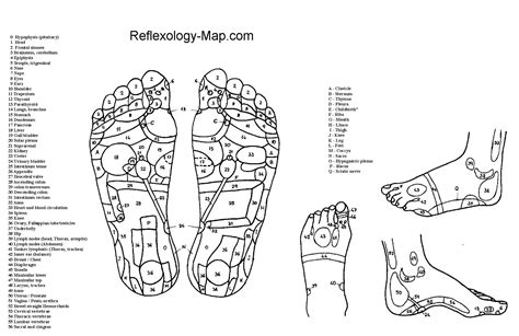 Footreflexologychart Barefoot Oasis Foot Massage And Spa
