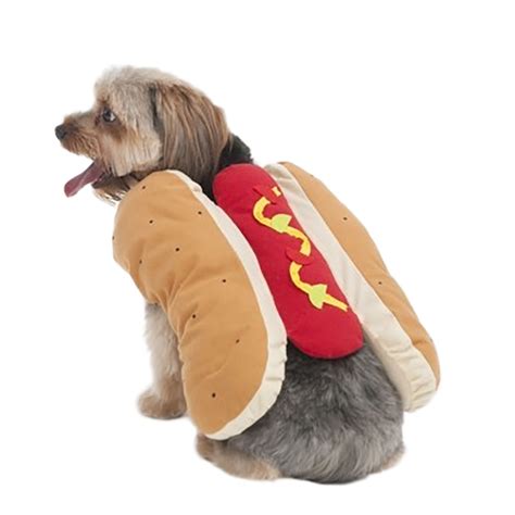 Pet Fashion Lookin Good Hot Dog Dog Costume Your Loved