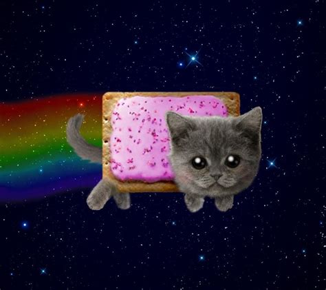 Pin On Nyan Cat Meow Meow Meow