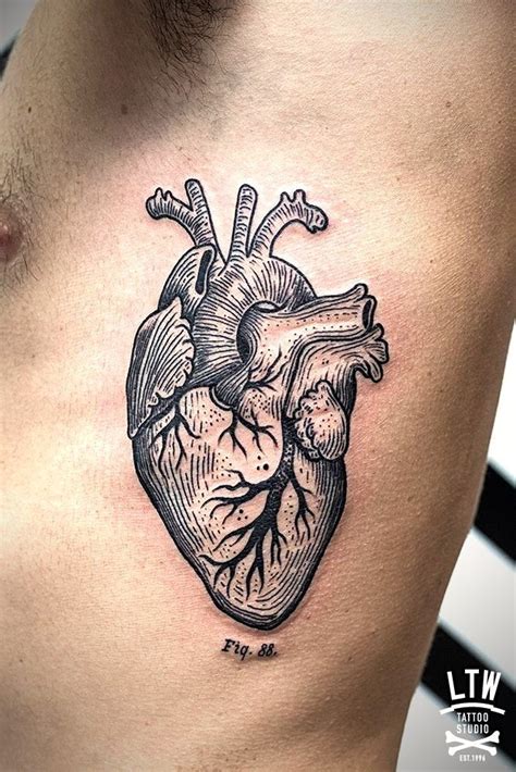 Amazing Black And Gray Anatomical Heart Done At Ltw Tattoo Studio In