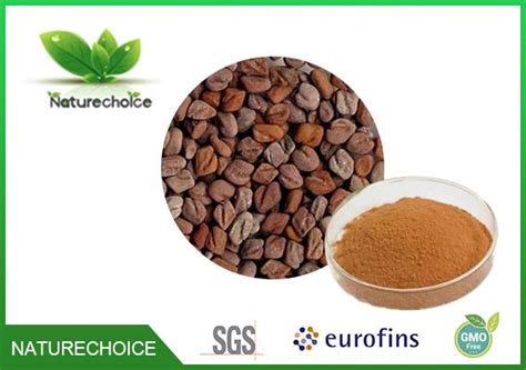 Fenugreek Seed Extract Xian Nature Choice Coltd
