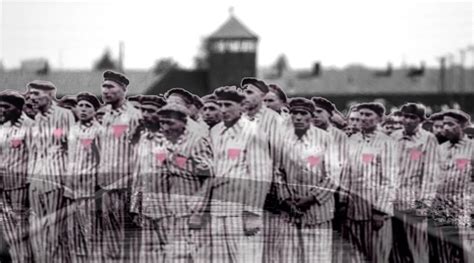 Homosexuality and Holocaust Memorial Day, A Gay Jewish Hero | Katy Jon Went