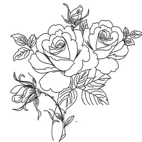 玫瑰花简笔画高清画法，玫瑰花画法植物简笔画
