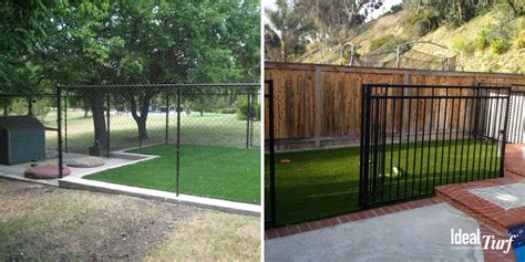 Dog Run Ideas Definitive Guide To Backyard Dog Potty Areas — Naive Pets